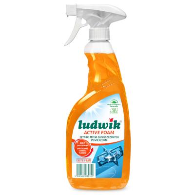 Средство для мытья замасленных поверхностей "Ludwik" active foam Exotic Fruits, 750 мл — купить в Алматы