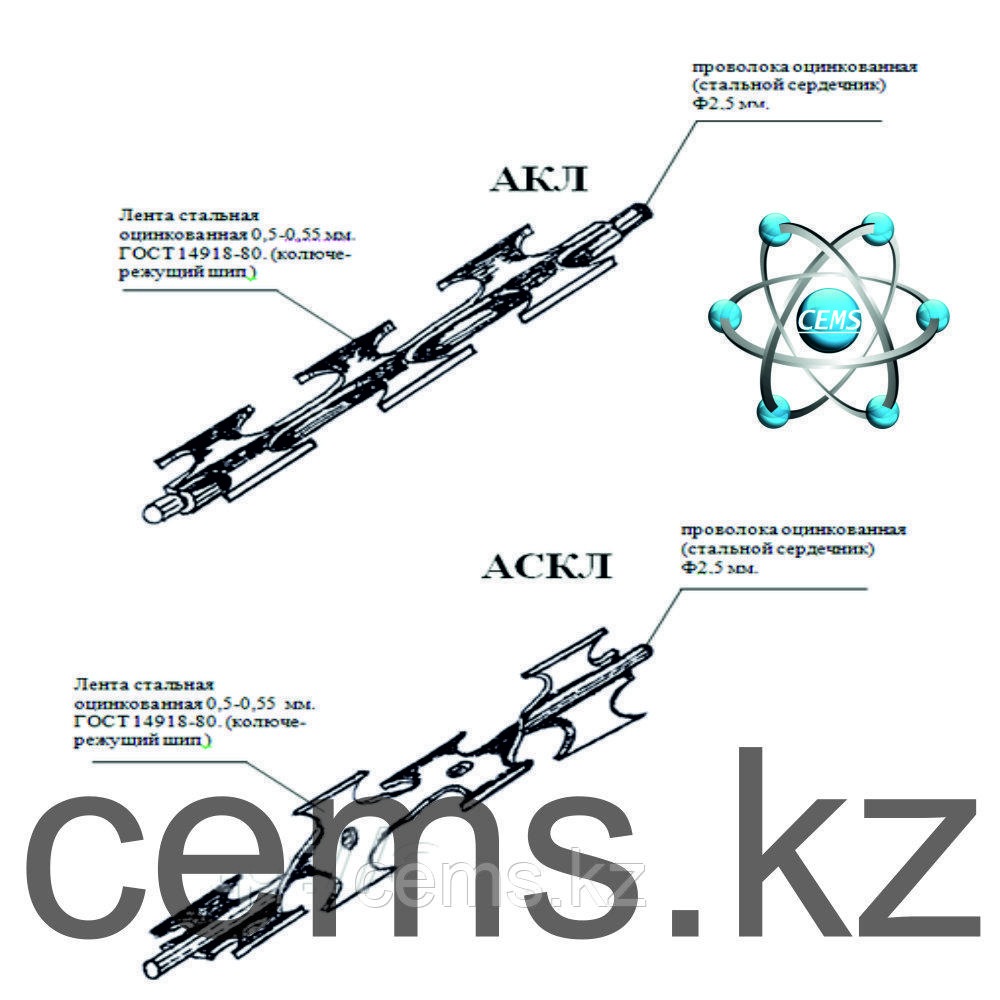 file_691b37db947b2.jpg