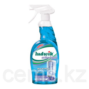 Средство для мытья душевых кабин активная пена "Ludwik", 750 мл — купить в Алматы